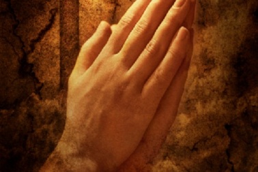 Hãy yêu cuộc sống này