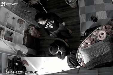 Vụ “hãy cứu con khỏi dì ghẻ độc ác”: Kết quả phân tích dữ liệu từ camera