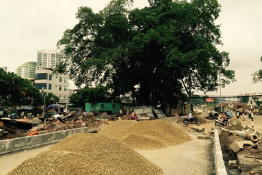 Dự án giao thông nghìn tỷ “né” cây Đa trăm tuổi