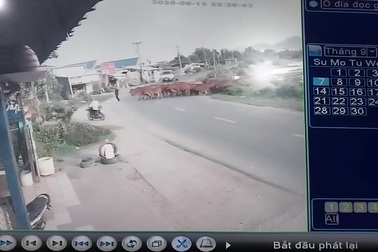 Tài xế xe tải lao thẳng vào đàn bò đang qua đường