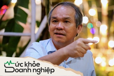 Trồng chuối, nuôi heo, tập đoàn của bầu Đức lỗ lãi ra sao qua 5 năm?