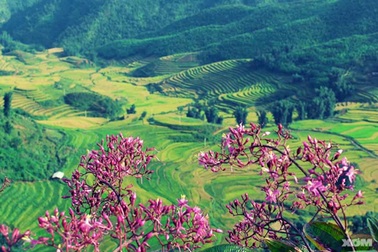 Điện Biên mùa này khác lắm!