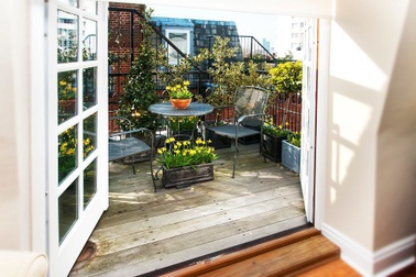 Chú mèo nổi tiếng mạng xã hội vì có đôi mắt to tròn ngây thơ "không chịu nổi"