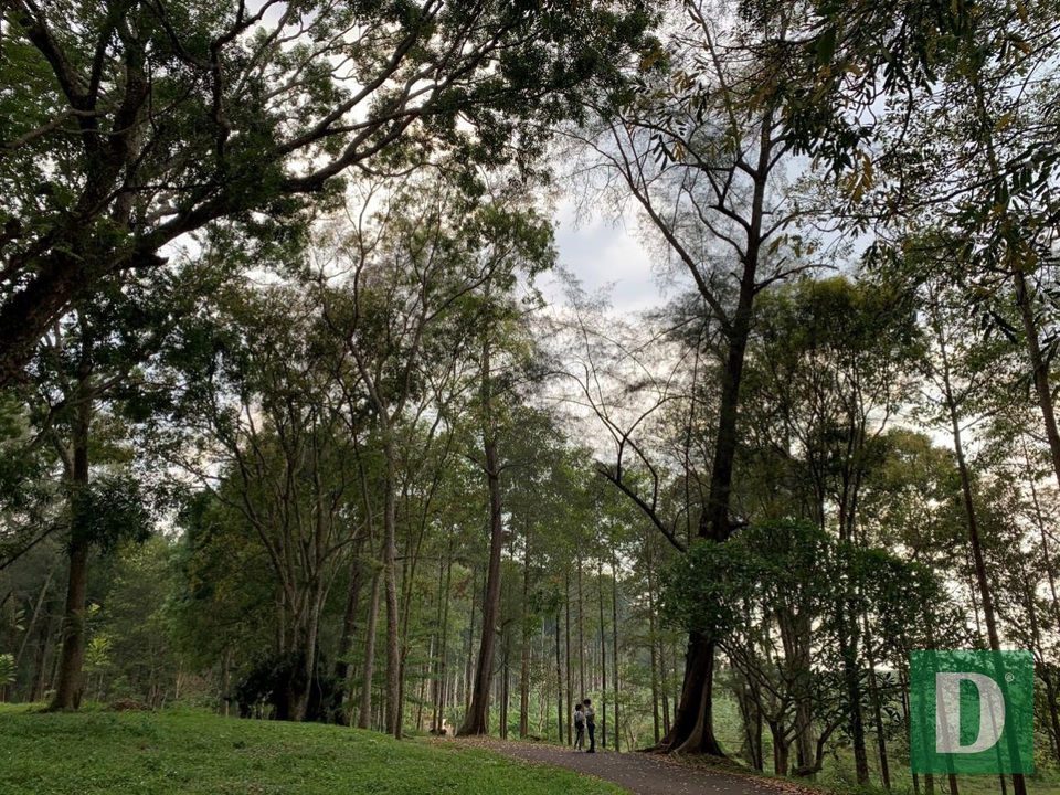 Đà Lạt miền Đông bị lãng quên - 5