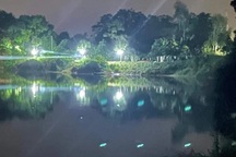 Lật thuyền, Phó trưởng Công an huyện và Trưởng phòng Văn hóa tử vong