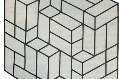 Hoa mắt với bài toán bậc tiểu học: Ảo ảnh thị giác