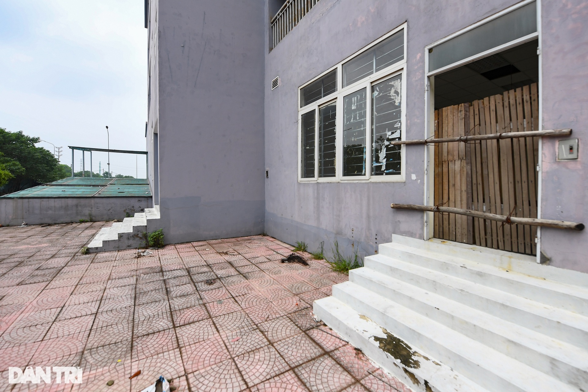 Khu tái định cư trăm tỷ: Nơi để cỏ mọc, chỗ nuôi gà ở Hà Nội - 13