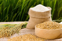 Thủ tướng chỉ đạo đẩy mạnh sản xuất, xuất khẩu lúa gạo