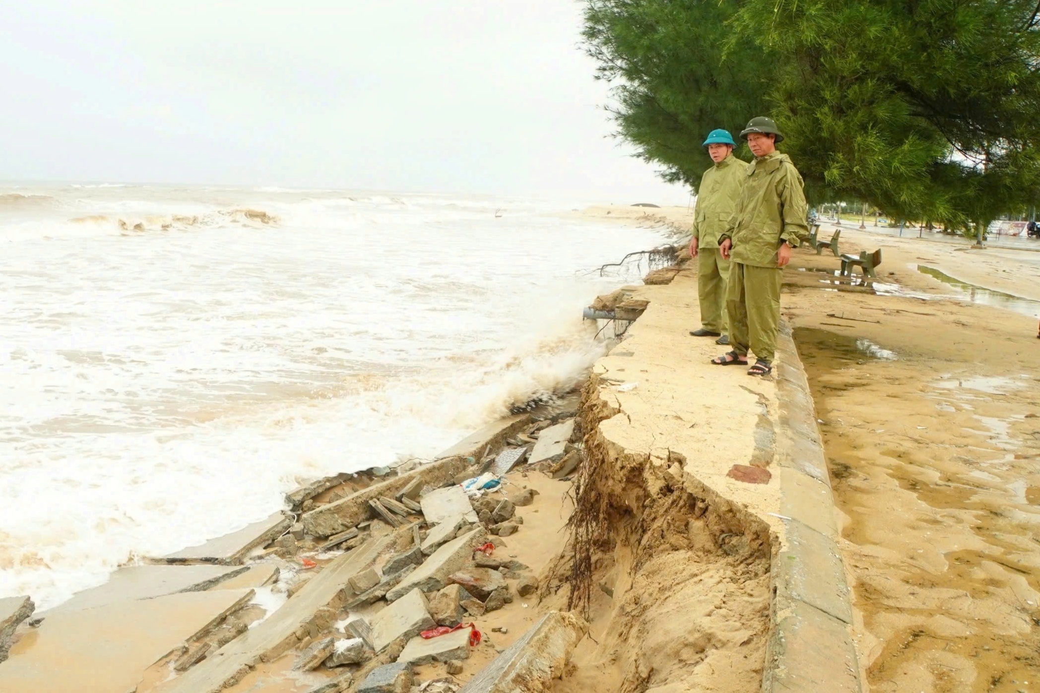 2. Bờ biển Phú Thuận bị sạt lở nghiêm trọng do biển xâm thực.