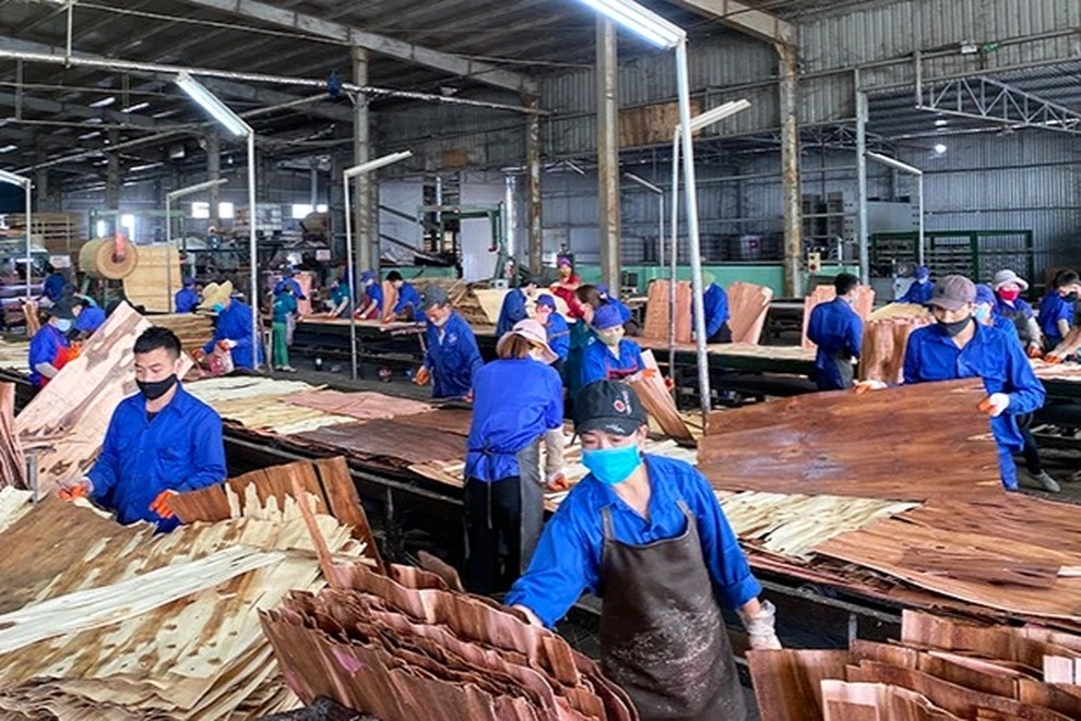 Sự khích lệ để hộ kinh doanh vực dậy sau khó khăn do Covid-19 - 4