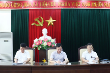 Chủ tịch xã, phường ký cam kết xử lý vi phạm đất đai