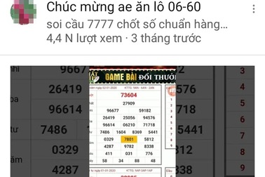 Rao đoán trúng 100% kết quả lô đề, chiếm đoạt gần nửa tỉ đồng