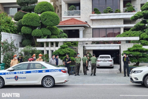 Cây cảnh "khủng" nhà nguyên Chủ tịch TP Hạ Long có bị niêm phong, kê biên?