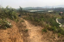 Nam thanh niên tử vong tại nghĩa trang