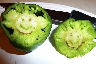 Những "gương mặt cười" trong quả ớt xanh