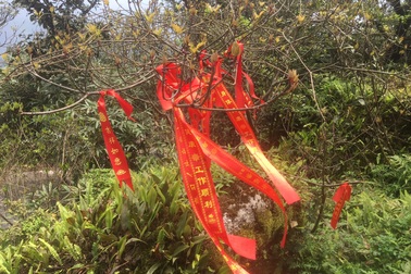 Ngỡ ngàng trước những dải băng lạ trên đường lên chùa Đồng - Yên Tử