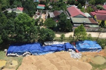 Vụ "vứt xó" hơn 200 tấn xi măng: Tạm đình chỉ công tác chủ tịch xã