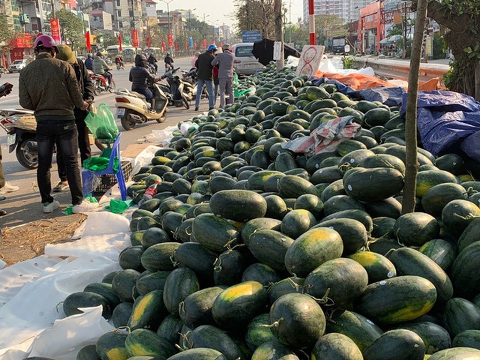 Điều tra, xử lý người tung tin 4 người Gia Lai tự tử vì dưa hấu rẻ - 1 Điều tra, xử lý người tung tin 4 người Gia Lai tự tử vì dưa hấu rẻ - 1
