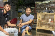 Tốt nghiệp trường y, về quê nuôi thứ chim bạch tạng, 9X thu tiền tỷ