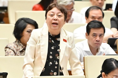 Truy quét sữa, thuốc giả: Đoàn thanh tra chưa đến hàng đã được giấu sạch