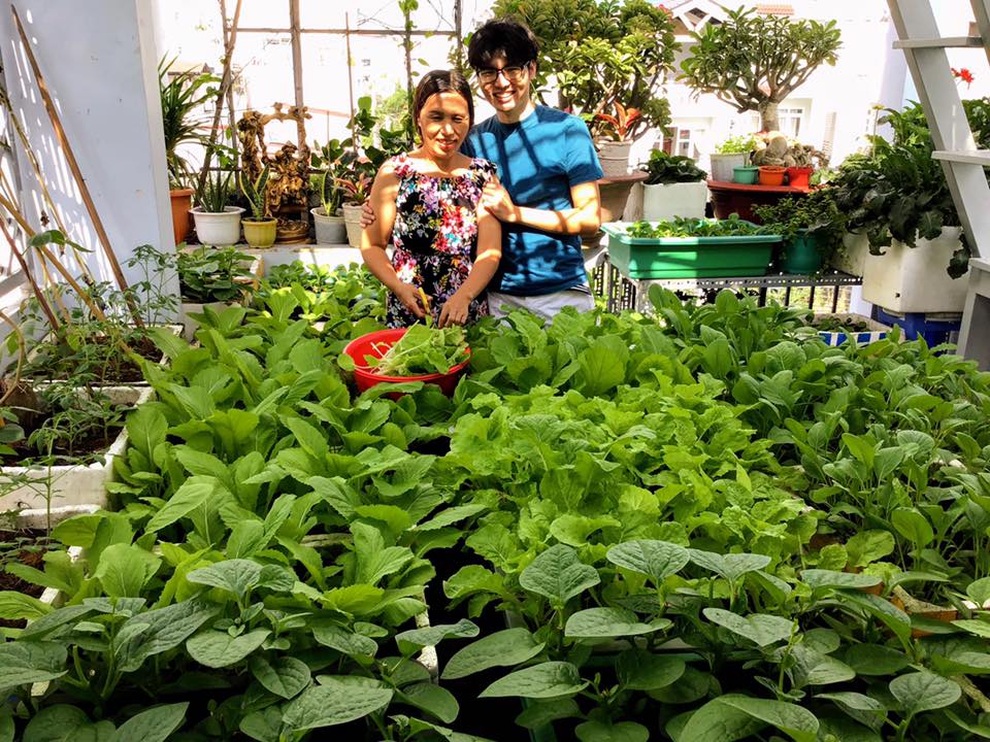 Vườn xanh mướt trên sân thượng giúp truyền cảm hứng... viết trăm bài thơ - 6