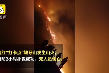 Đốt pháo hoa kỷ niệm tình yêu, cặp đôi thiêu rụi cả cánh rừng