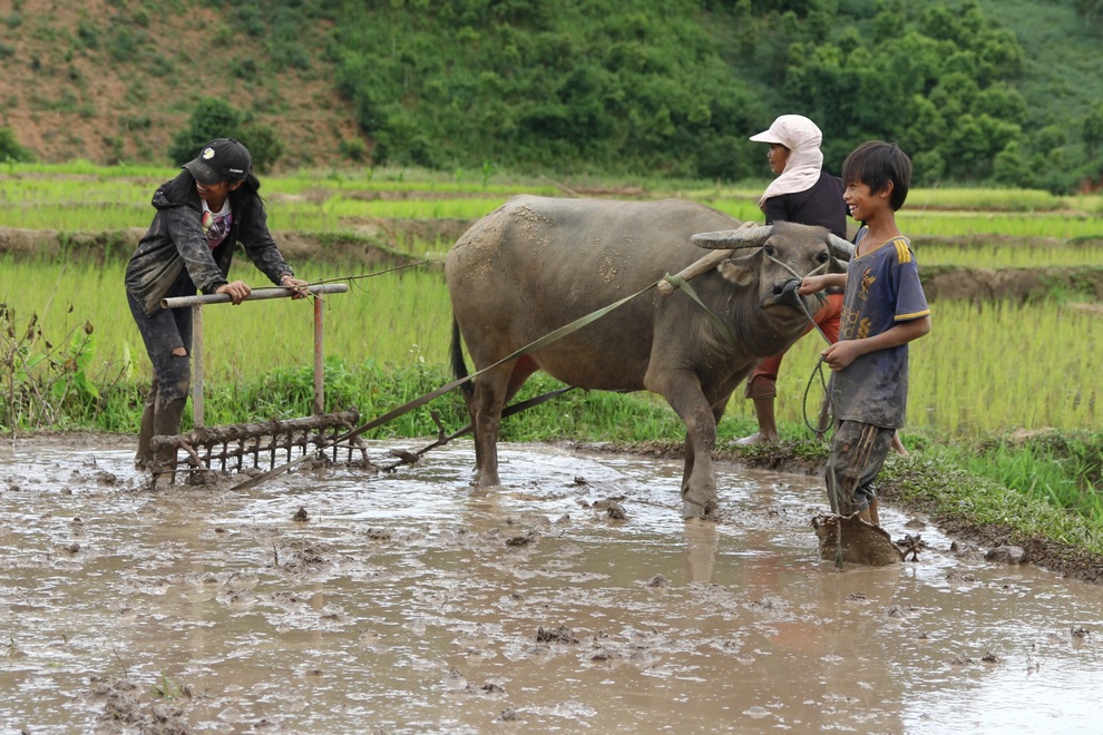 Mùa hè của trẻ em người Xơ Đăng dưới chân núi Ngọc Linh - 1 Mùa hè của trẻ em người Xơ Đăng dưới chân núi Ngọc Linh - 1