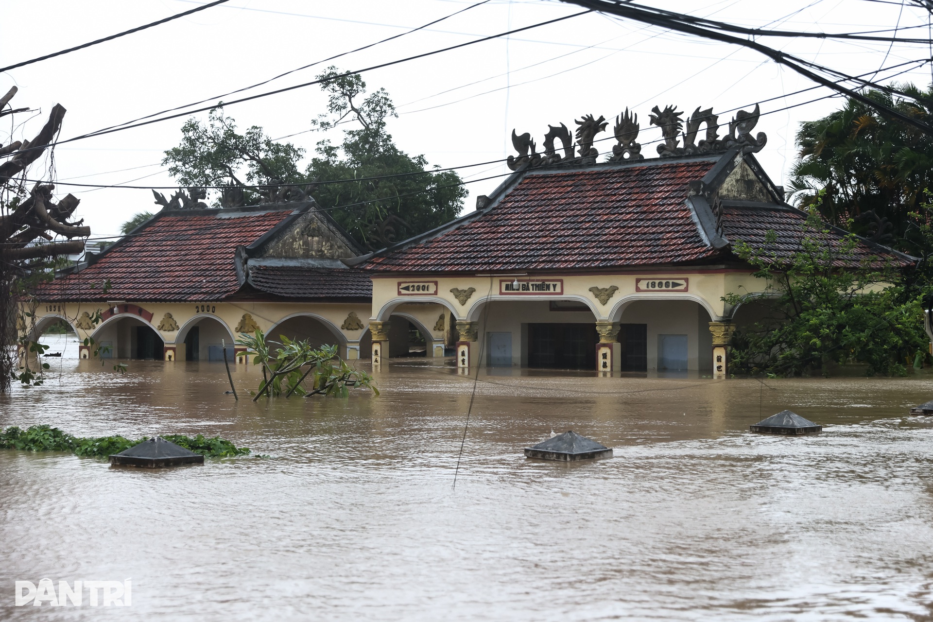 Ngày thứ ba vùng lũ Phú Yên oằn mình giữa biển nước mênh mông - 7