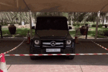 Xe sang Mercedes của Hoàng tử Dubai bị "cách ly" vì lý do đầy xúc động