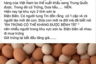 Xem xét xử lý đối tượng tung tin "ăn trứng luộc sẽ thoát kiếp nạn corona"