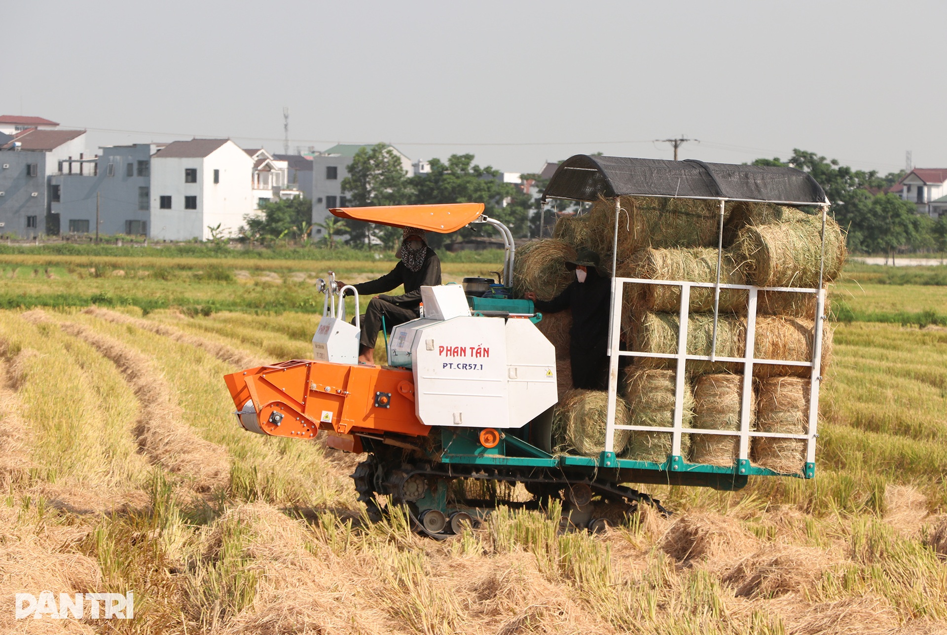 Cướp nắng với trời, kiếm mỗi ngày cả triệu đồng - 4 Cướp nắng với trời, kiếm mỗi ngày cả triệu đồng - 4