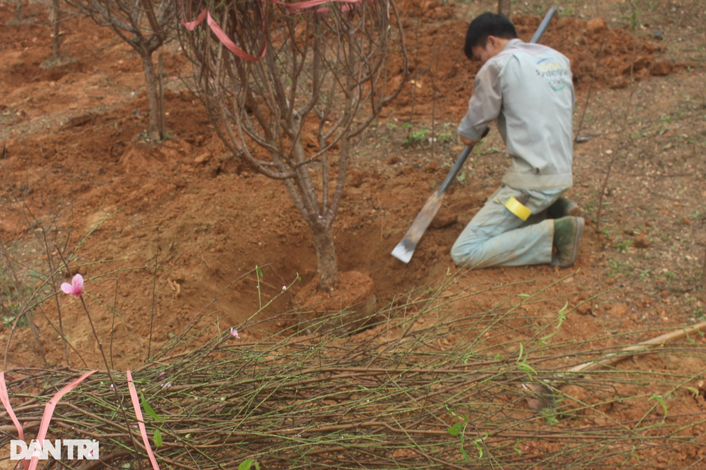 Sống khỏe dịp cận Tết với việc... ăn theo thương lái - 3 Sống khỏe dịp cận Tết với việc... ăn theo thương lái - 3
