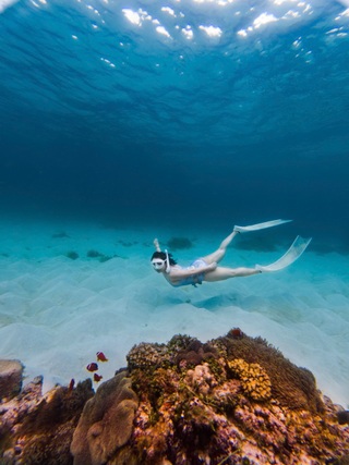 Không cần đi Maldives, khách đổ dồn về Phú Quý lặn biển vì đẹp siêu thực - 5