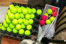 Phát hiện hơn 3 vạn quả bóng golf giả nhãn hiệu Titleist, Callaway, Honma