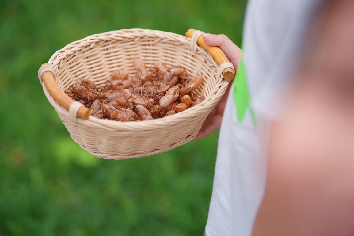 Trẻ con Ecopark có tuổi thơ của thời ông bà, cha mẹ - 7 Trẻ con Ecopark có tuổi thơ của thời ông bà, cha mẹ - 7