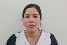 Nữ giám đốc lừa đảo hàng tỷ đồng