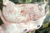 Chính thức đề nghị Bộ Công an vào cuộc vụ Công ty C.P. bị tố bán heo bệnh
