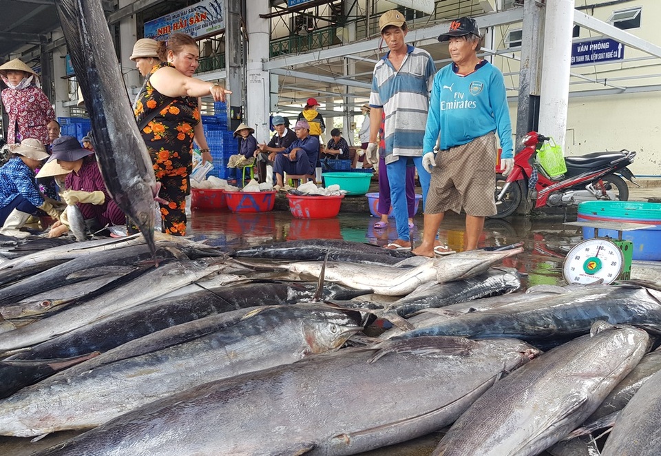 Ngư dân kiếm hơn trăm triệu đồng từ cá ngừ những ngày đầu năm 2020 - 3 Ngư dân kiếm hơn trăm triệu đồng từ cá ngừ những ngày đầu năm 2020 - 3