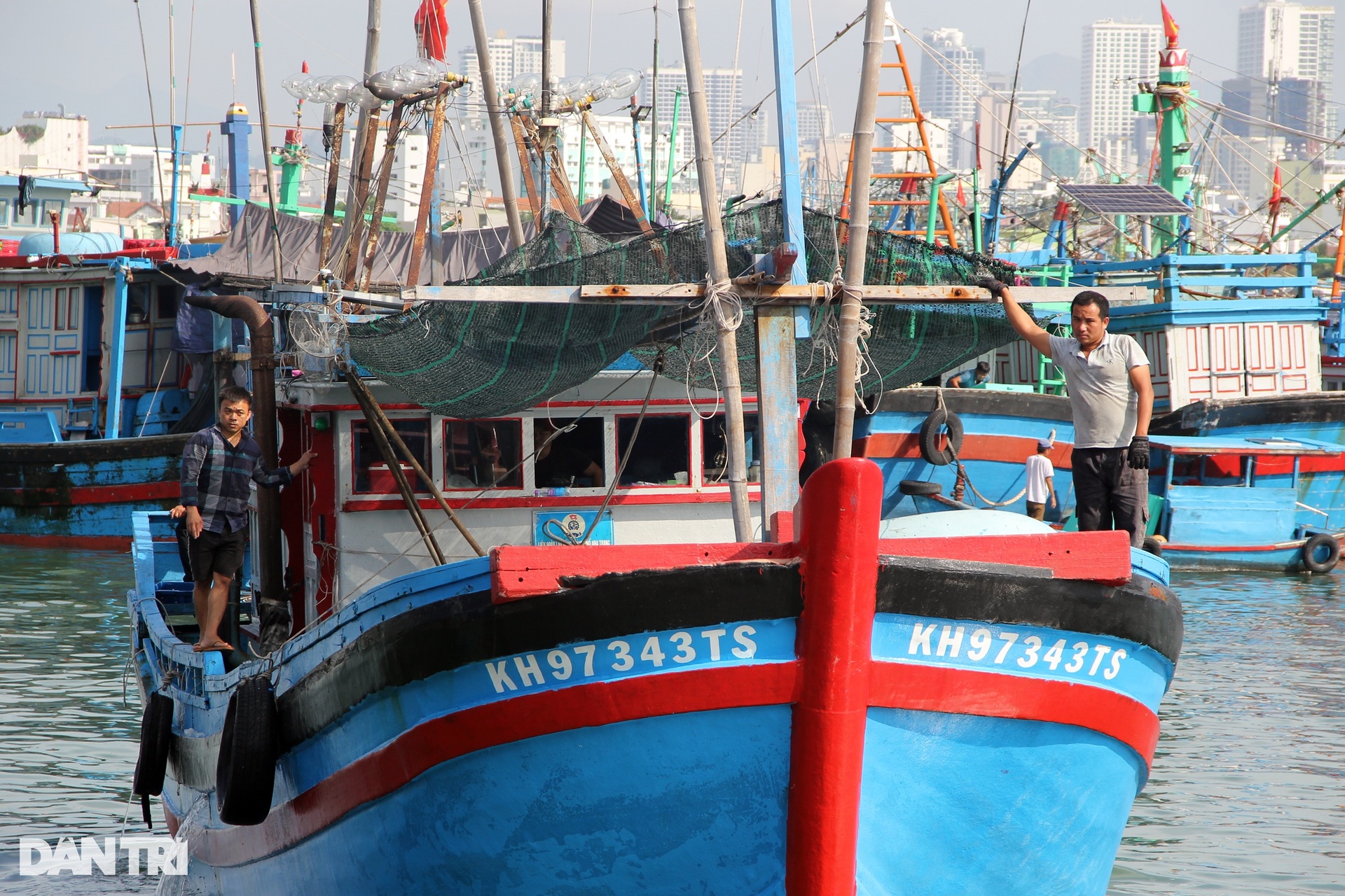 During the Tet holiday, fishermen caught a catch of ocean tuna, earning hundreds of millions of dong - 1