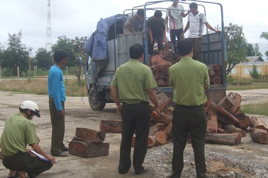 Lâm tặc tấn công kiểm lâm để tẩu tán gỗ lậu