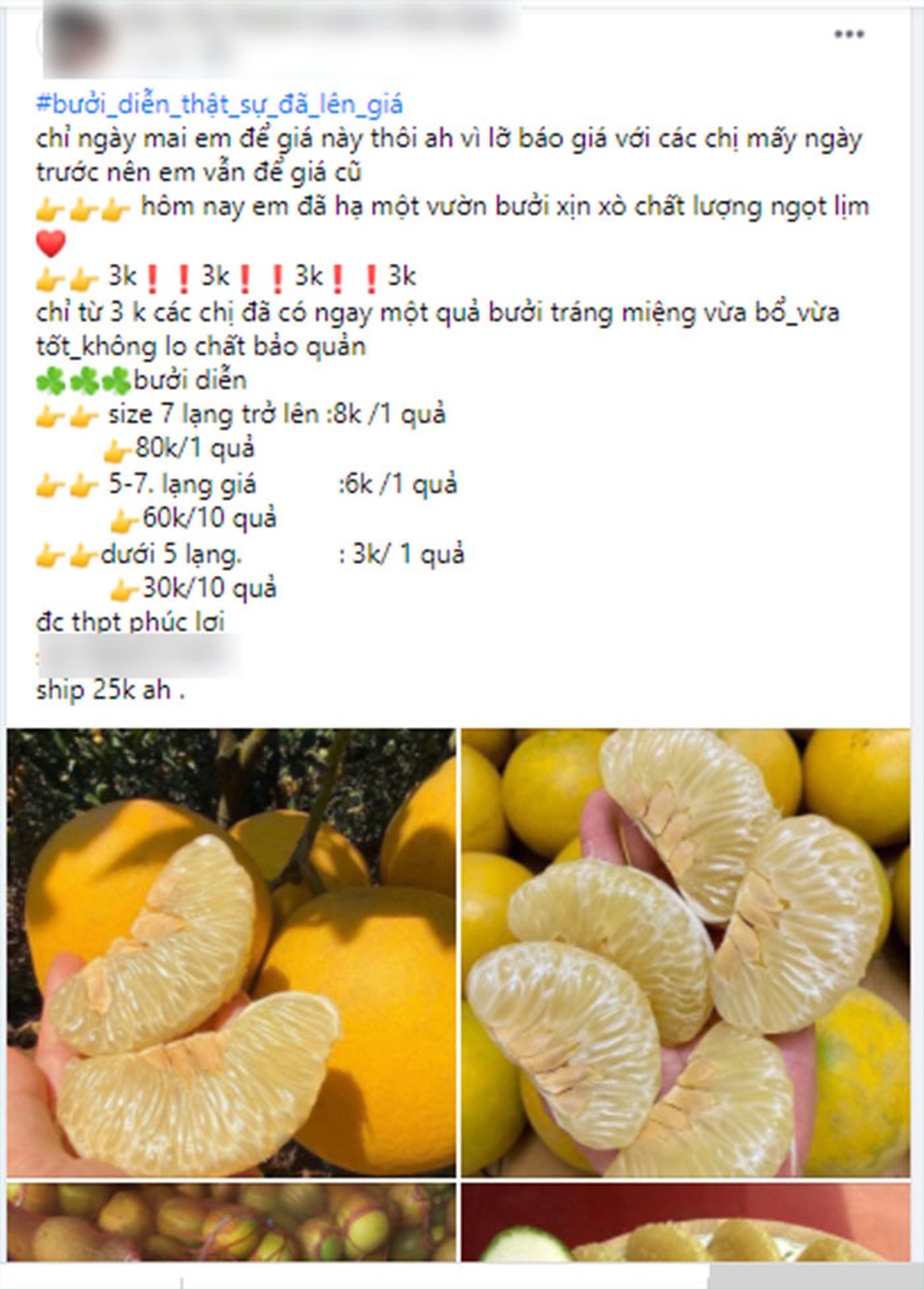 Bưởi Diễn rẻ chưa từng có, giá chỉ 3.000 đồng, ngày bán cả nghìn quả - 2 Bưởi Diễn rẻ chưa từng có, giá chỉ 3.000 đồng, ngày bán cả nghìn quả - 2