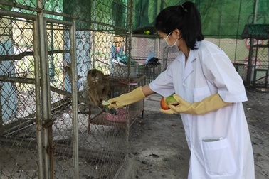 Chuyện thú vị về những người giúp các loài động vật tái hòa nhập tự nhiên