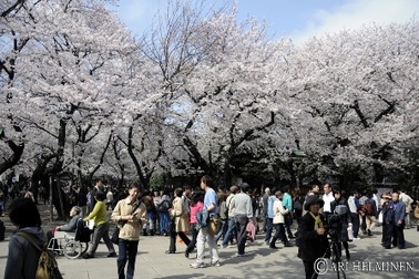 Vietravel kích cầu du lịch đầu năm giá “cực sốc”