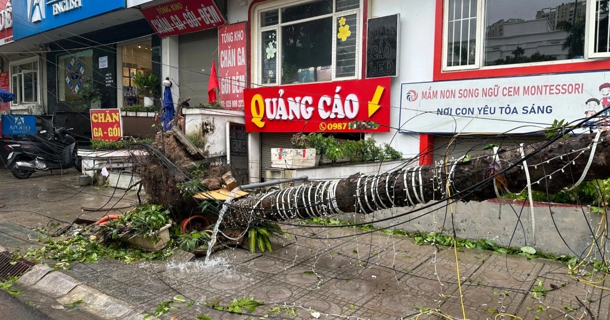 View - Cảnh hoang tàn sau bão Yagi tại các khu đô thị ở Hà Nội | Báo Dân trí