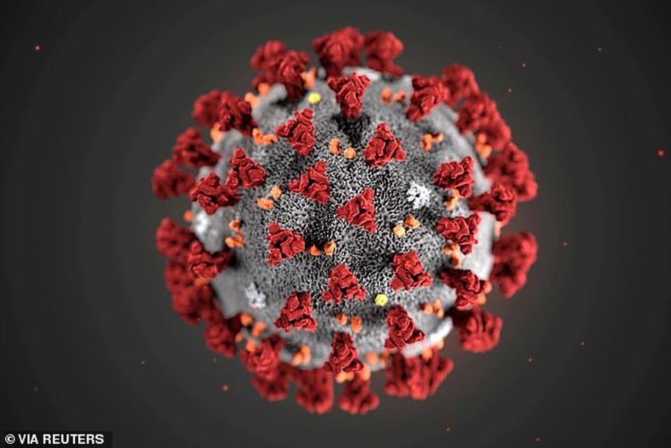 Phát hiện chủng virus Corona lây lan nhanh gấp 10 lần virus ở Trung Quốc - 1 Phát hiện chủng virus Corona lây lan nhanh gấp 10 lần virus ở Trung Quốc - 1