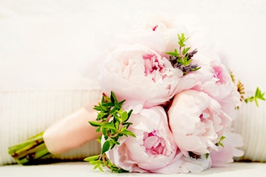 Hoa Mẫu Đơn cho “Ngày của mẹ”