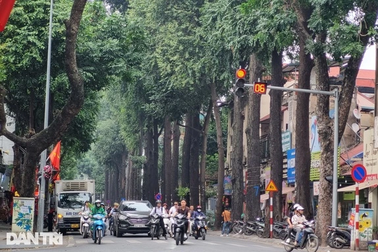 Sau nghi vấn "bức tử" sao đen, 1.000 hộ dân cam kết không xâm hại cây