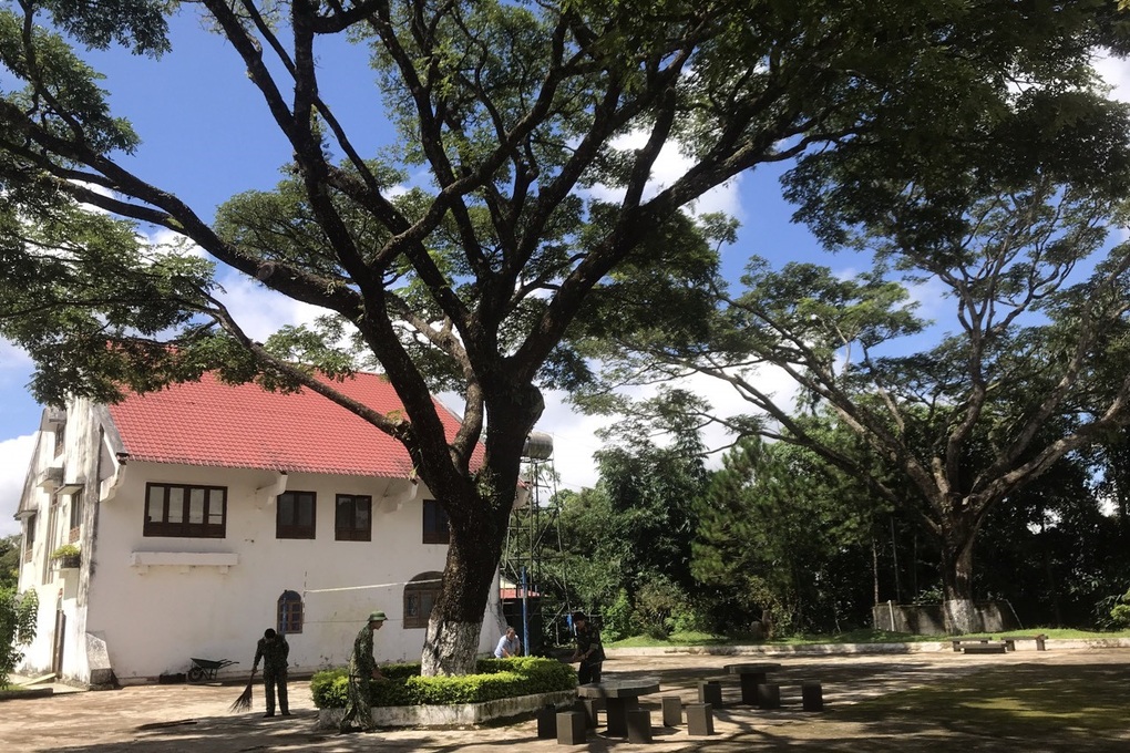 Hai cây me tây thời vua Bảo Đại được bảo vệ như báu vật ở vùng biên - 8 Hai cây me tây thời vua Bảo Đại được bảo vệ như báu vật ở vùng biên - 8