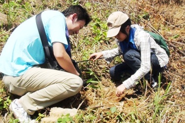 Tình nguyện viên Việt Nam - Nhật Bản trồng rừng giao lưu