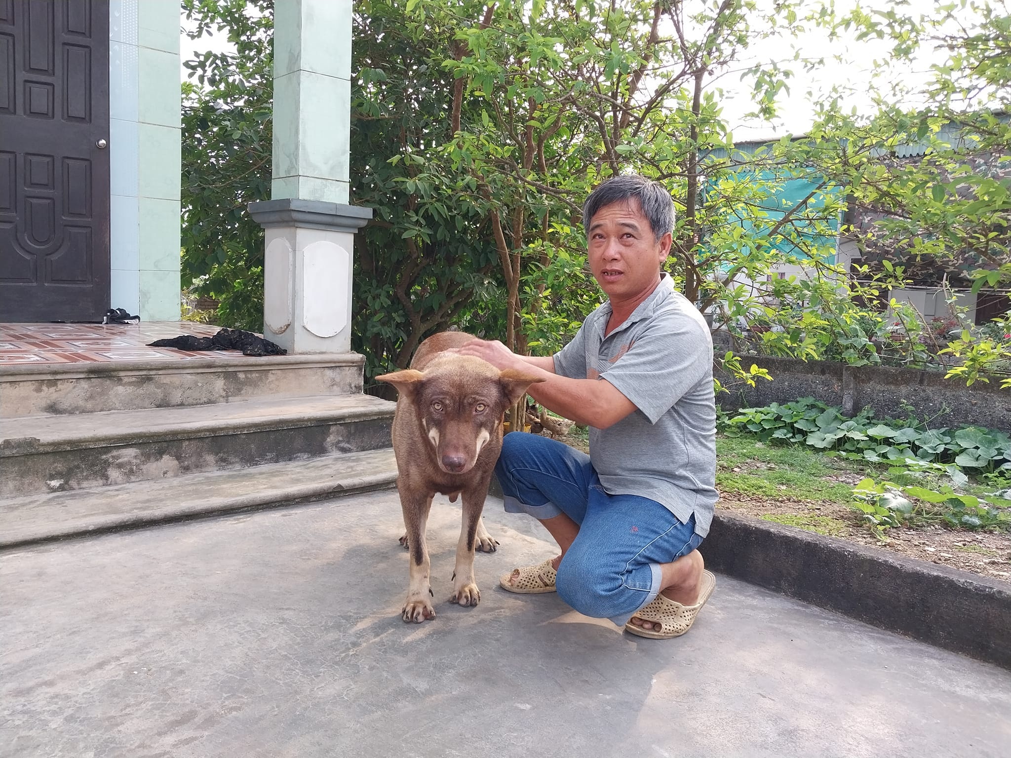 quỳnh đôi 2.jpg quỳnh đôi 2.jpg